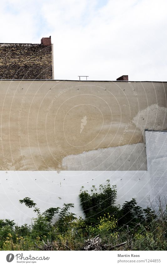 Stadtaussicht Sträucher Haus Gebäude Mauer Wand Fassade alt trist braun weiß Umzug (Wohnungswechsel) Häusliches Leben Zukunft Miete Schornstein Altbau Farbfoto