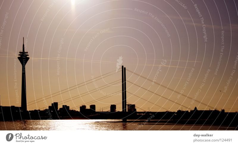 Alles senkrecht Gebäude Bauwerk Säule streben Stadt Wolken Silhouette Antenne Reflexion & Spiegelung Brücke Wahrzeichen Denkmal Himmel Turm Seil Drahtseil Fluss