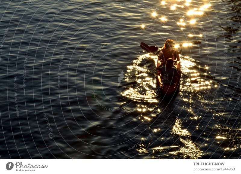 In die Abendsonne paddeln Freude sportlich Freizeit & Hobby Paddeln Ferien & Urlaub & Reisen Ausflug Freiheit Sommer Sonne Wellen Sport Wassersport Ruderboot