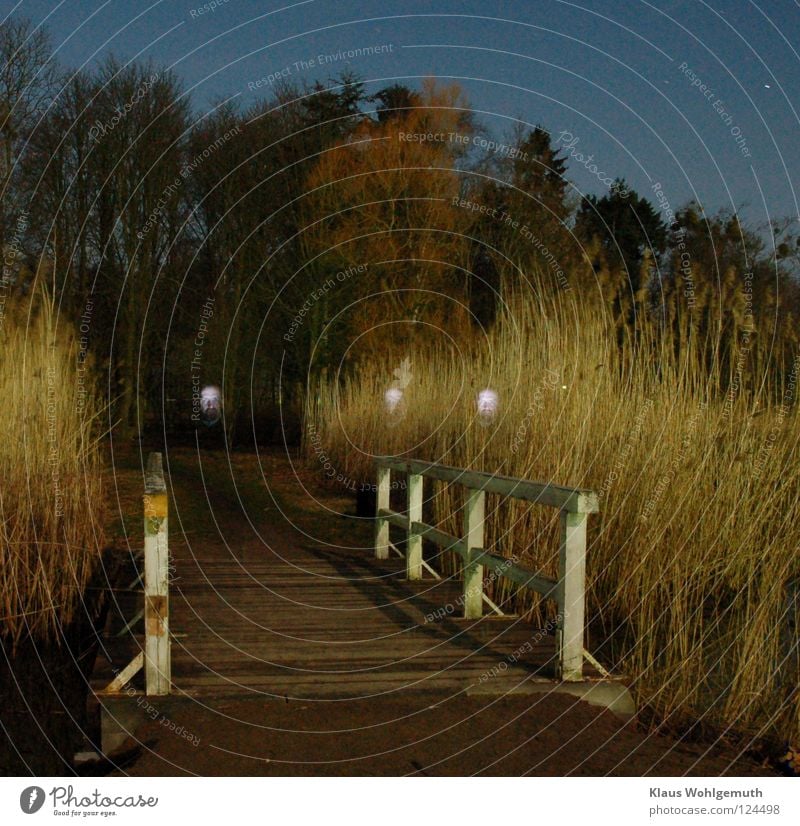 Kleine weiße Brücke von Schilf umstanden im Mondlicht, im Hintergrund ein Park. Mein Gesicht durch kurzes anleuchten mehrfach eingefügt. Nacht unheimlich