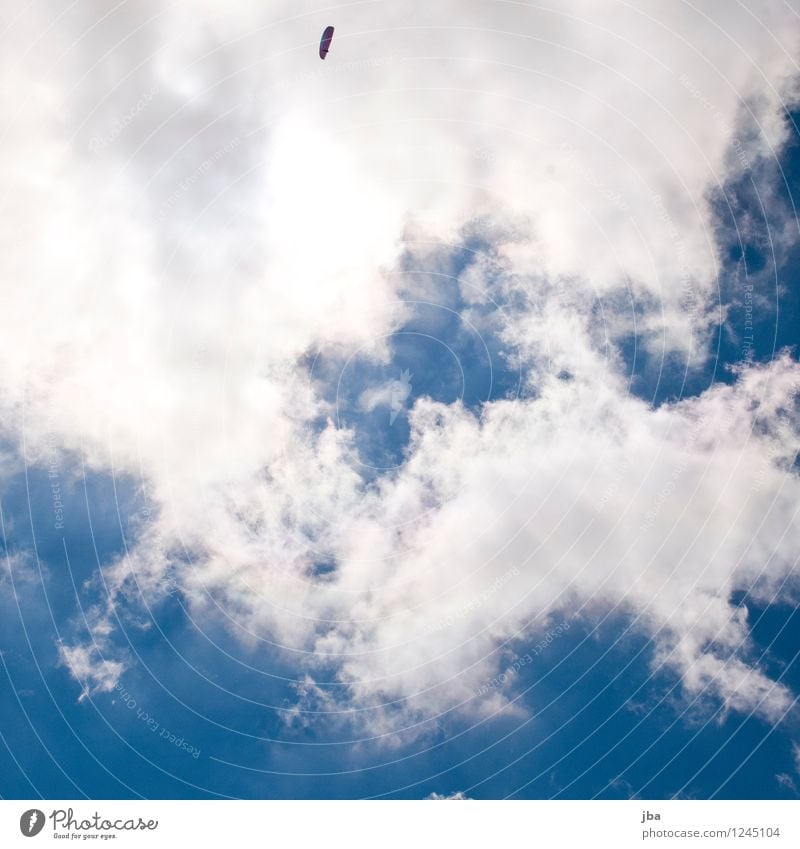 unter den Wolken Wohlgefühl Zufriedenheit Erholung ruhig Freizeit & Hobby Ausflug Sommer Sport Gleitschirm Gleitschirmfliegen Sportstätten Natur Urelemente Luft