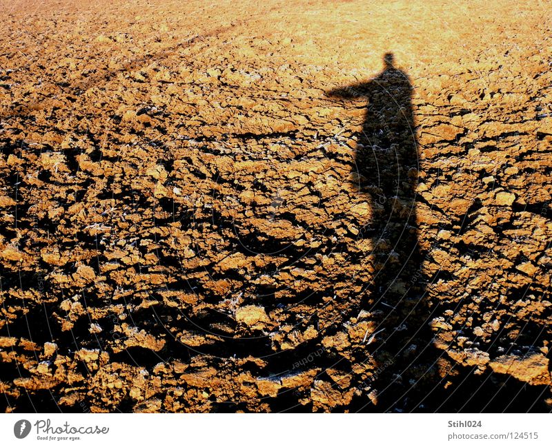 Mach dich vom Acker! Feld gepflügt Landwirtschaft Licht Raureif Sonnenuntergang Gegenlicht Romantik ausgestreckt Hand Silhouette Quaste Fotograf Selbstportrait