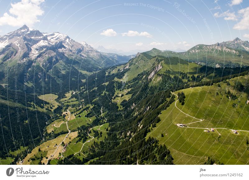 Col du Pillon Wohlgefühl Zufriedenheit Erholung ruhig Freizeit & Hobby Ausflug Ferne Freiheit Sommer Berge u. Gebirge Sport Gleitschirmfliegen Sportstätten