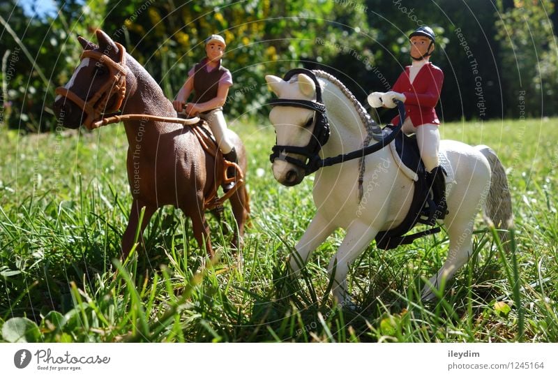 Reiter Freizeit & Hobby Spielen Reiten Reitsport Personenverkehr Tier Pferd 2 Spielzeug Kunststoff Zusammensein braun grün weiß Freundschaft Kindheit