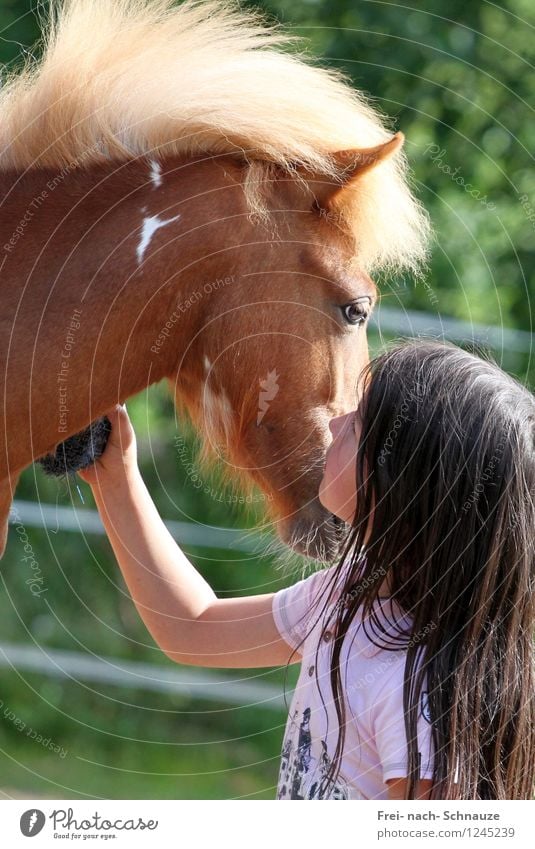 Deine Augen zeigen mir das Spiegelbild meiner Taten! Körperpflege harmonisch Wohlgefühl Zufriedenheit Erholung ruhig Freizeit & Hobby Reiten Mensch feminin Kind