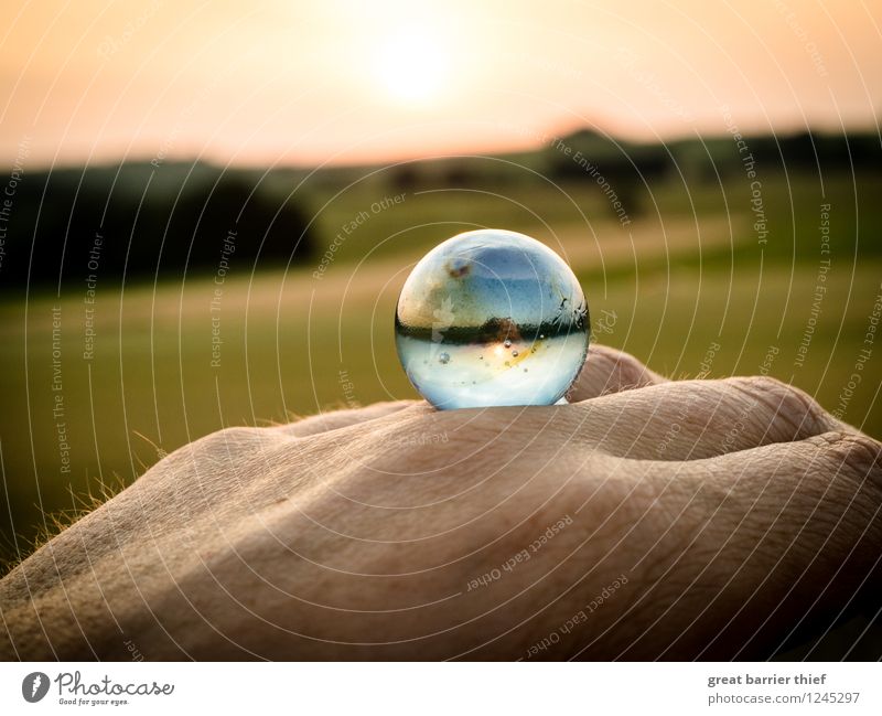 Und wenn es unsere Welt wäre... Umwelt Natur Landschaft Tier Himmel Wolkenloser Himmel Horizont Sonne Sonnenaufgang Sonnenuntergang Sonnenlicht Sommer Wetter