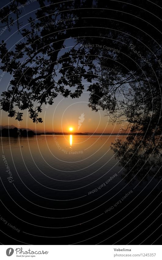 Abend am Chiemsee Sonne Natur Landschaft Wasser Sonnenaufgang Sonnenuntergang Sonnenlicht Baum Blatt Seeufer blau braun gelb grau orange schwarz Romantik Zweig