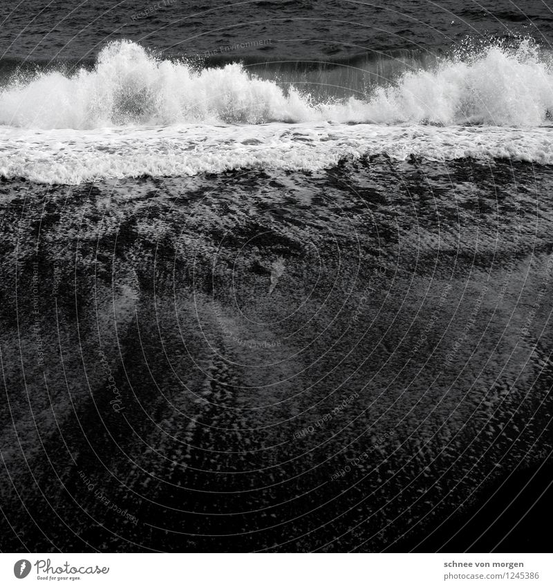 im fluss Umwelt Natur Landschaft Erde Sand Wasser Wetter schlechtes Wetter Unwetter Wind Sturm Regen Wellen Küste Seeufer Strand Bucht Meer Insel Island Vik