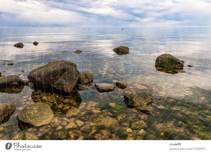 Ostseeküste auf Rügen Erholung Ferien & Urlaub & Reisen Strand Natur Landschaft Wolken Felsen Küste Meer Sehenswürdigkeit Stein grau Romantik Idylle Steinblock