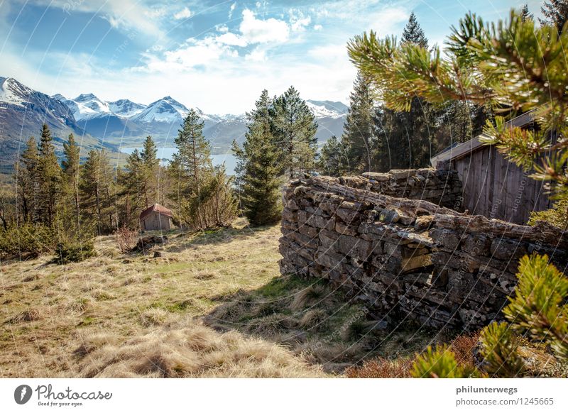 Ausblick von oben Klettern Bergsteigen wandern Umwelt Natur Wolken Horizont Schönes Wetter Baum Gras Alpen Berge u. Gebirge Schneebedeckte Gipfel Menschenleer