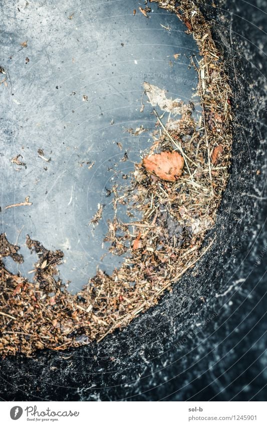 cldbthrth Häusliches Leben Garten Gartenarbeit Natur Herbst Wetter Blatt Metall einfach Fass Container Müllbehälter Herbstlaub rund leer Zweig alt