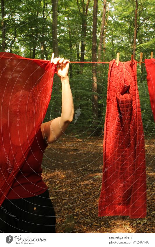 pz3: durchblicke oder: rot sehen Häusliches Leben feminin Frau Erwachsene 1 Mensch 45-60 Jahre Natur Sommer Baum Wald Arbeit & Erwerbstätigkeit hängen dunkel