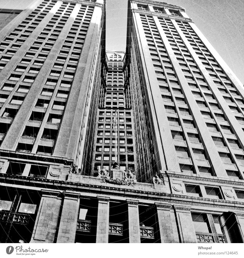 Genickstarre New York City Hochhaus USA Schwarzweißfoto Stadt