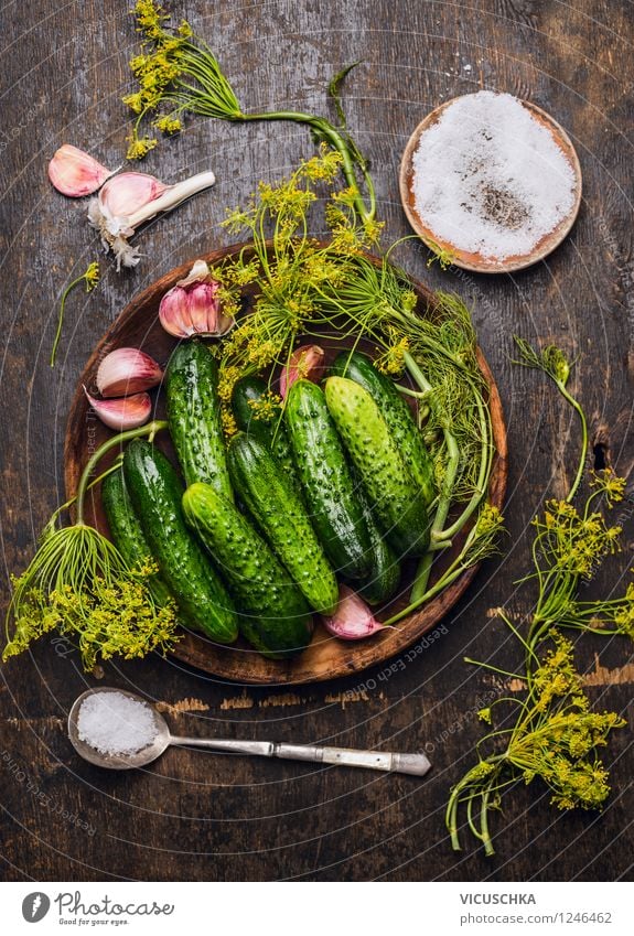 Gurken, Kräutern und Gewürzen fürs Einlegen Lebensmittel Gemüse Kräuter & Gewürze Ernährung Teller Schalen & Schüsseln Löffel Stil Gesunde Ernährung Sommer