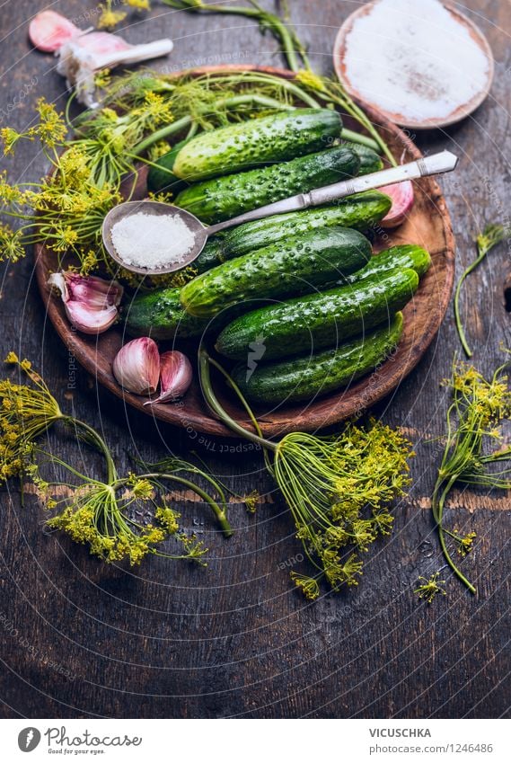 Gartengurken einlegen. Zutaten für Eingelegte Gurken. Lebensmittel Gemüse Kräuter & Gewürze Ernährung Bioprodukte Vegetarische Ernährung Teller