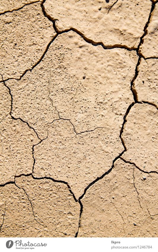 brauner trockener Sand in der Sahara Design Ferien & Urlaub & Reisen Sommer Tapete Umwelt Natur Landschaft Klima Wetter Dürre dreckig heiß natürlich wild