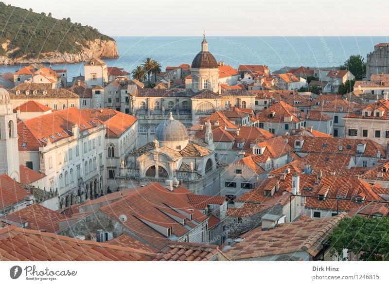 Old Town - Dubrovnik Stadt Hafenstadt Altstadt Haus Kirche Dom Gebäude Architektur Dach Sehenswürdigkeit Wahrzeichen Denkmal alt authentisch historisch blau