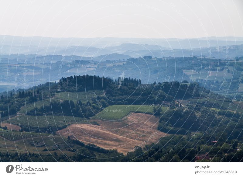 Chianti Gebiet Ferien & Urlaub & Reisen Tourismus Ferne Sommer Sommerurlaub Landwirtschaft Forstwirtschaft Umwelt Natur Landschaft Himmel Horizont Klima Feld