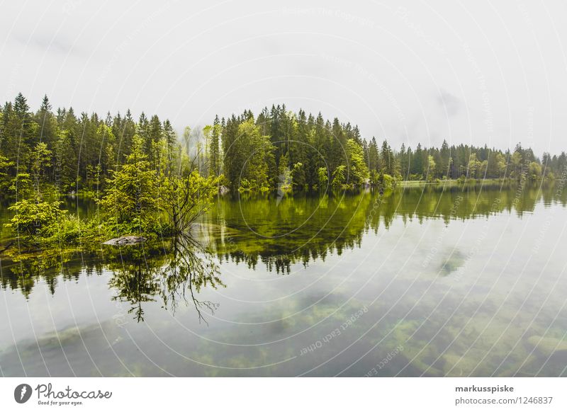 hintersee ramsau berchtesgaden oberbayern Sinnesorgane Erholung ruhig Freizeit & Hobby Angeln Jagd Ferien & Urlaub & Reisen Tourismus Ausflug Abenteuer Ferne