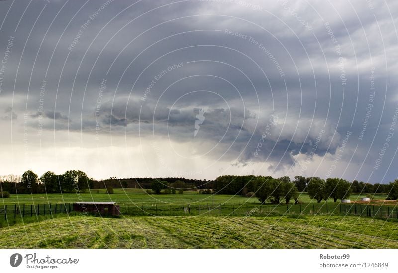 Gewitterwolke Umwelt Sommer schlechtes Wetter Unwetter Regen Baum Wiese Feld Angst Energie Klima Kraft Außenaufnahme Tag Kontrast Starke Tiefenschärfe