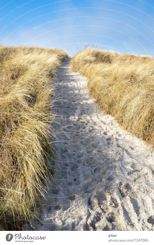 Strandweg Ferien & Urlaub & Reisen Ferne Freiheit Sommer Sommerurlaub Sonne Sonnenbad Meer Natur Landschaft Sand Himmel Wolkenloser Himmel Schönes Wetter