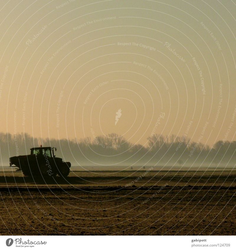 Frühaufsteher Traktor Landwirtschaft Feldarbeit Flur Wiese Wald Nebel Morgen Sonnenaufgang Düngung Unkrautbekämpfung Stickstoff Aussaat Saatgut ökologisch