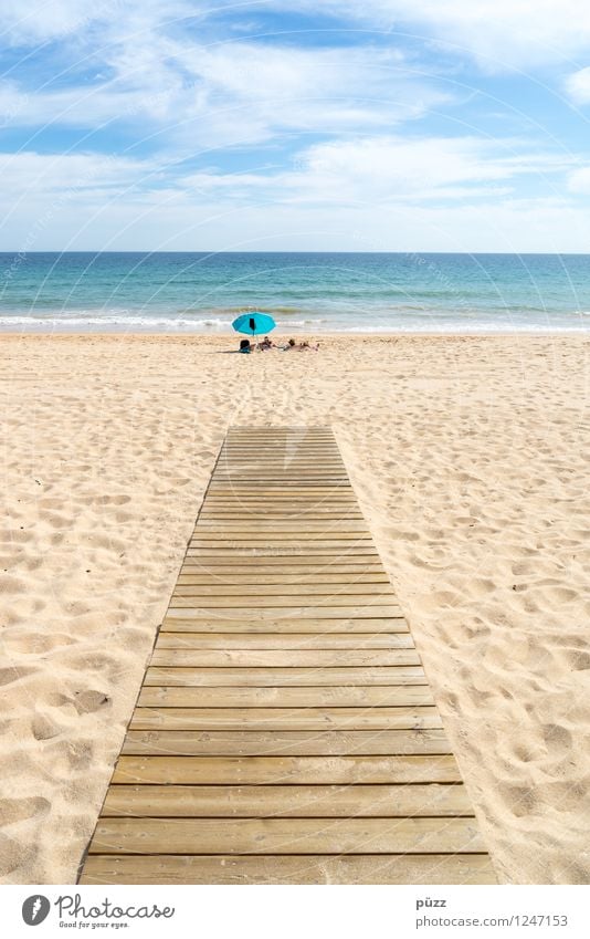 Auf dem Holzweg Wohlgefühl Zufriedenheit Erholung ruhig Schwimmen & Baden Ferien & Urlaub & Reisen Ferne Freiheit Sommer Sommerurlaub Sonne Sonnenbad Strand