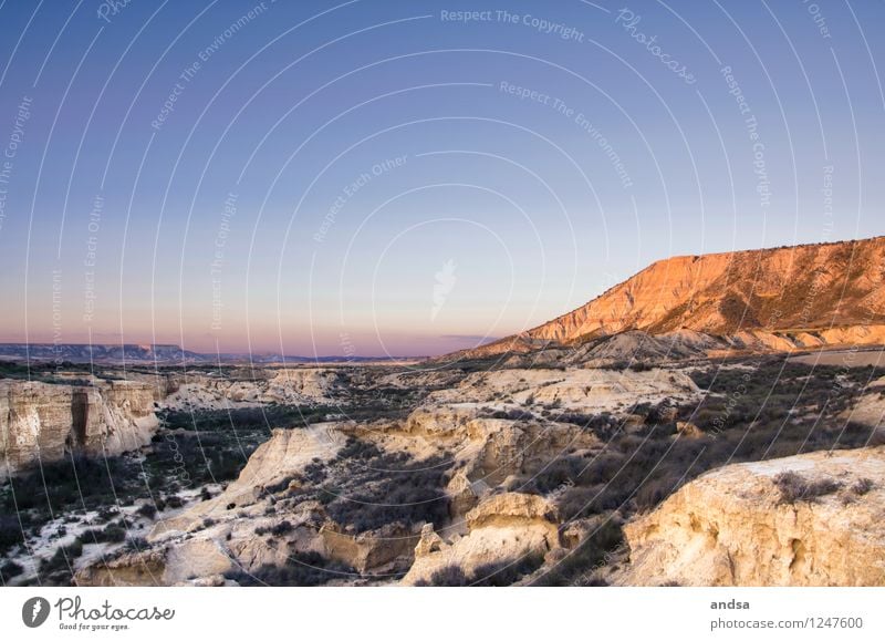 Spanien IV Natur Landschaft Urelemente Erde Sand Luft Himmel Wolkenloser Himmel Horizont Sonnenaufgang Sonnenuntergang Schönes Wetter Pflanze Gras Sträucher