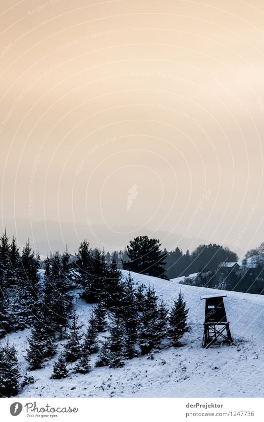 Still ruht die Schneelandschaft Umwelt Natur Landschaft Pflanze Tier Winter Schönes Wetter Eis Frost Baum Wiese Feld Wald Hügel Berge u. Gebirge ästhetisch