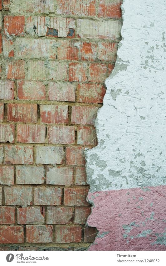 Im Umbruch. Haus Mauer Wand Linie ästhetisch hässlich kaputt braun rosa weiß Verfall Backstein Putz Farbfoto Gedeckte Farben Außenaufnahme Textfreiraum links