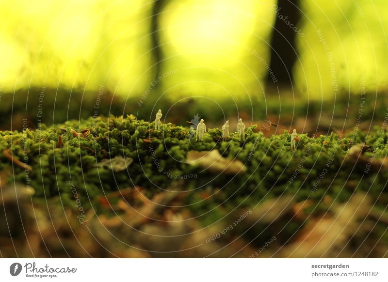 nach fünf im urwald. Mensch Menschengruppe Umwelt Tier Sommer Wald Urwald klein braun grün Zusammensein Zusammenhalt Miniatur Moosteppich Spielfigur Ausflug