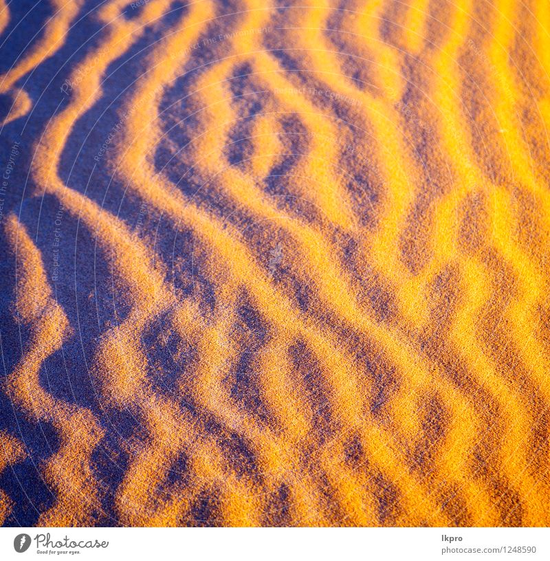 die braune Sanddüne in der schön Ferien & Urlaub & Reisen Tapete Natur Landschaft Schönes Wetter Urwald Hügel heiß gelb Einsamkeit Idylle wüst Düne Hintergrund