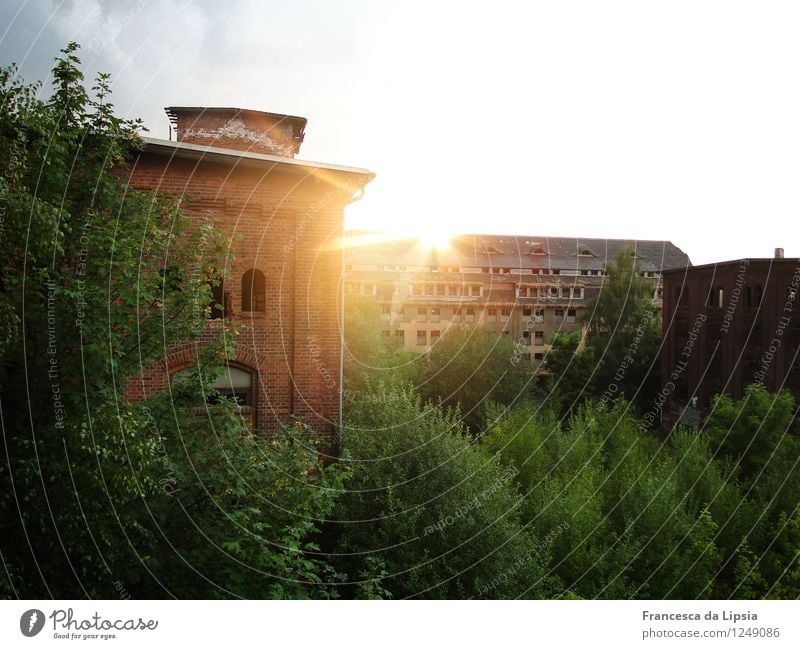 Vergessene Welt Abenteuer Sommer Leipzig Gohlis Deutschland Menschenleer Fabrik Ruine Militärgebäude Mauer Wand Fassade Fenster Dach alt leuchten ästhetisch