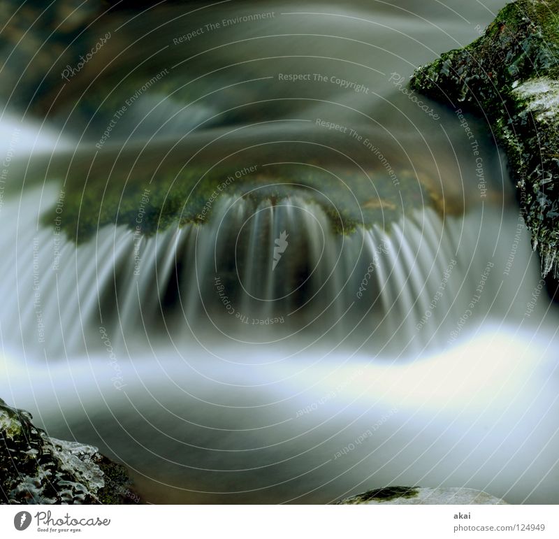 Weicher Wasserfall Berge u. Gebirge Landschaft Bach kalt weich Wildbach Schwarzwald Schauinsland Mittelgebirge graufilter Langzeitbelichtung Bewegungsunschärfe