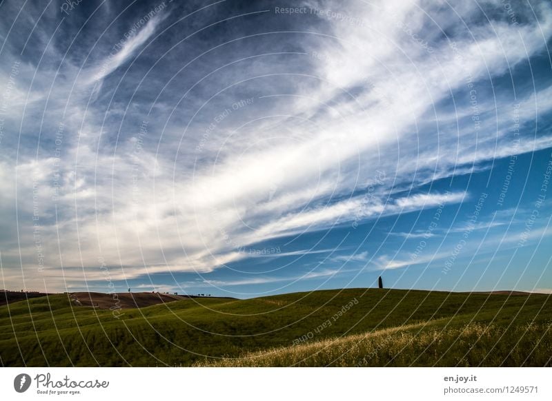 Bodenwellen Allergie Ferien & Urlaub & Reisen Tourismus Ferne Sommer Sommerurlaub Umwelt Natur Landschaft Pflanze Himmel Wolken Horizont Klima Wetter Wiese Feld