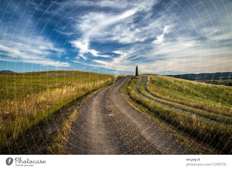 mittendrin Leben Ferien & Urlaub & Reisen Tourismus Ausflug Ferne Sommer Sommerurlaub wandern Umwelt Natur Landschaft Himmel Wolken Horizont Sonnenlicht