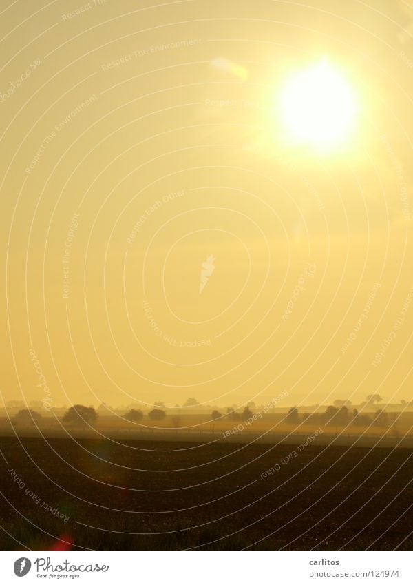 Lichtblick Morgennebel Nebel Wiese Zaun Dunst Wolken Farblosigkeit Gras Nebelschleier Hoffnung Tatendrang Schleier Sonnenaufgang gelb Wetter Morgendämmerung