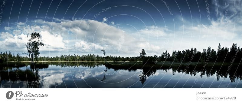 Klarheit I abgelegen Baum beschaulich Einsamkeit Erholung dunkel Gegenlicht ruhig Horizont Idylle kalt Naturliebe Panorama (Aussicht) schweigen See Glätte