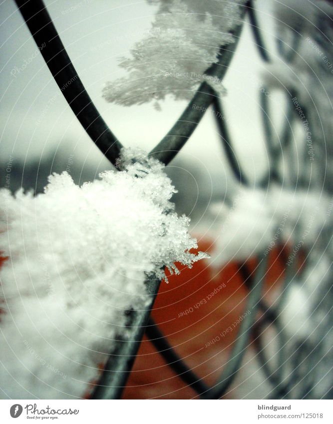 Winterpause Draht Zaun Tennis Tennisplatz Maschendrahtzaun liegen schließen Ausgrenzung kalt Frustration Pause Schnellzug Ballsport Schnee Eis apbsperrung