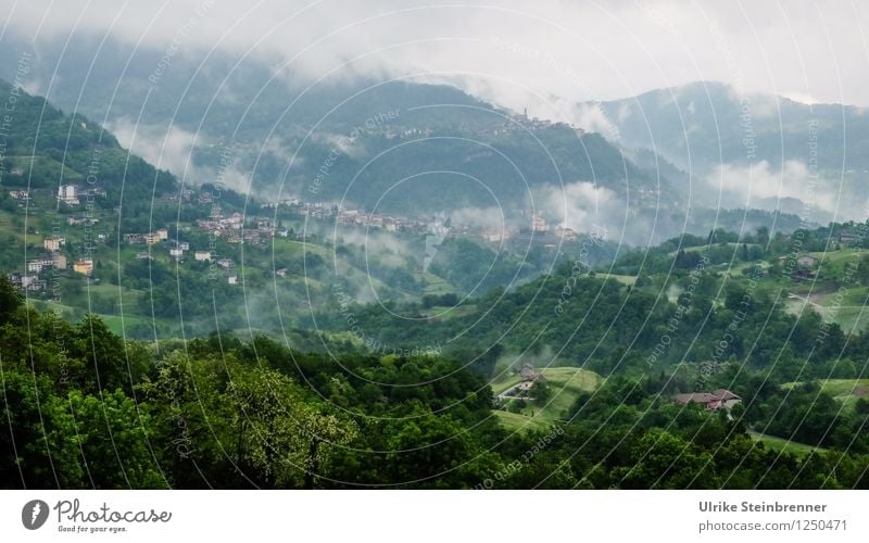 Villeggiatura 3 Ferien & Urlaub & Reisen Tourismus Sommerurlaub Berge u. Gebirge Umwelt Natur Landschaft Pflanze Wolken Frühling schlechtes Wetter Nebel Baum