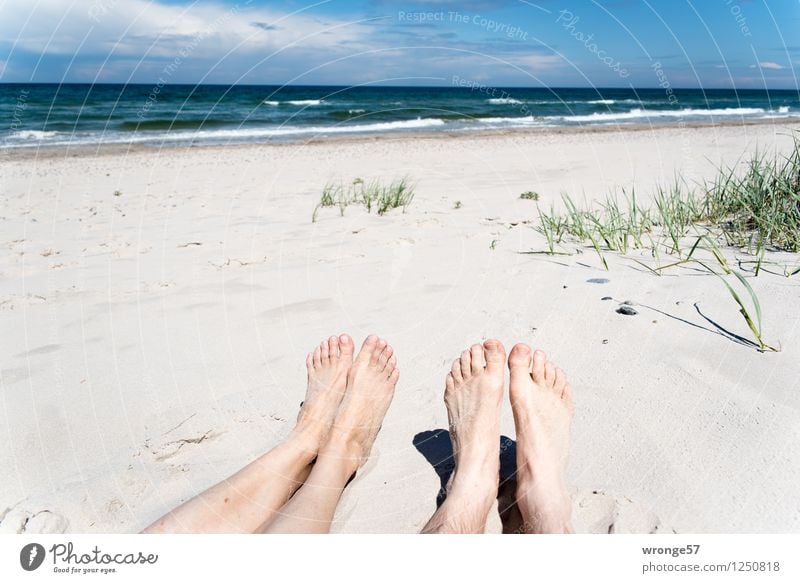 Strandfüße Ferien & Urlaub & Reisen Sommer Sommerurlaub Sonnenbad Meer Wellen Mensch maskulin feminin Frau Erwachsene Mann Weiblicher Senior Männlicher Senior