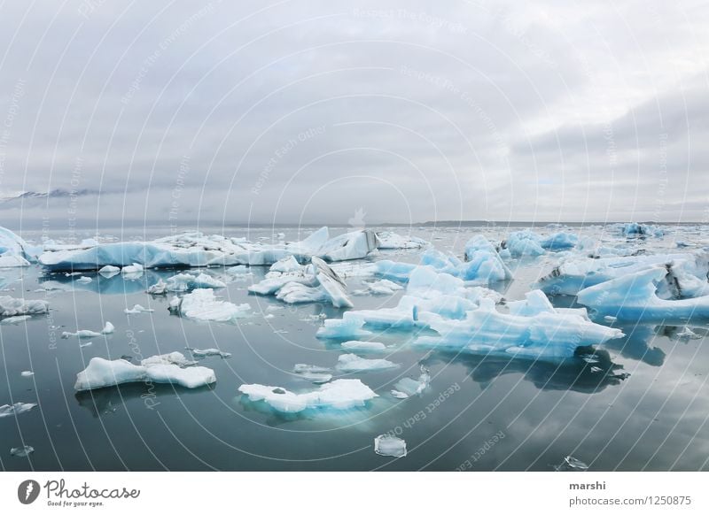 ICE ICE ICE Umwelt Natur Landschaft Himmel Wolken Winter Klima Klimawandel Wetter Schnee Küste Seeufer Fjord Meer Stimmung Eis Eisberg Island Jökulsárlón