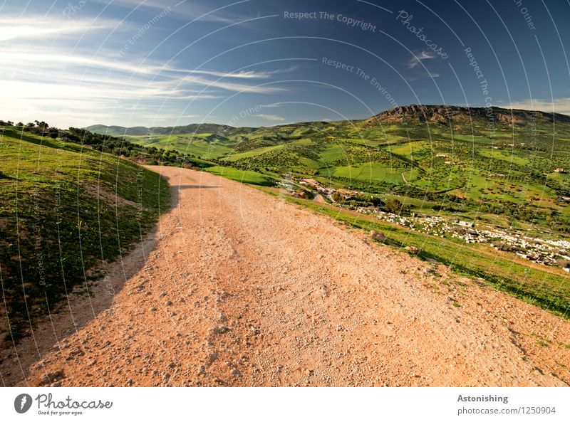 roter Weg ins Grüne Umwelt Natur Landschaft Pflanze Luft Himmel Wolken Horizont Sommer Wetter Schönes Wetter Baum Gras Wiese Hügel Gipfel Fes Marokko Stadt