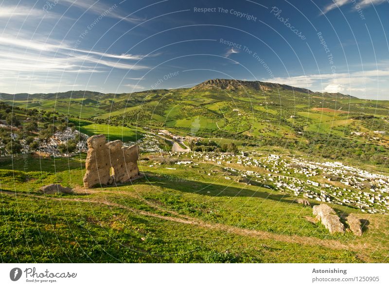 Ruinen bei Fes Umwelt Natur Landschaft Pflanze Himmel Wolken Horizont Sommer Wetter Schönes Wetter Baum Gras Sträucher Wiese Wald Hügel Marokko Bauwerk Straße