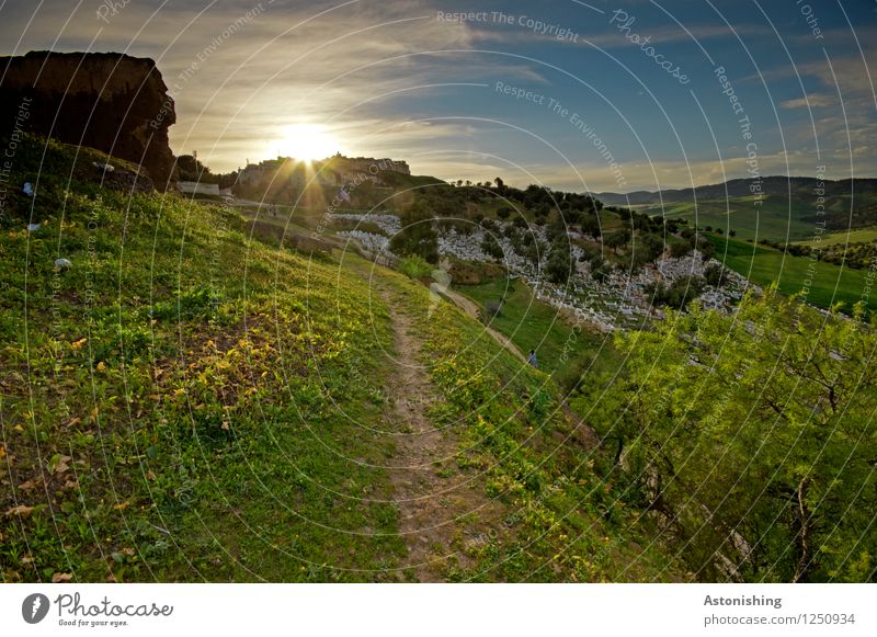 Sonnenuntergang in Marokko Umwelt Natur Landschaft Pflanze Luft Himmel Wolken Horizont Sonnenaufgang Sonnenlicht Sommer Wetter Schönes Wetter Wärme Baum Blume