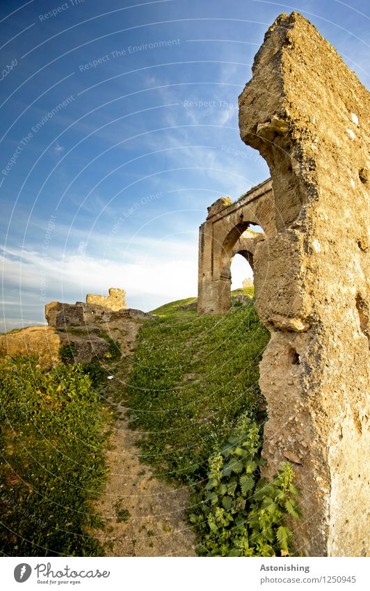 alte Mauern Umwelt Natur Landschaft Pflanze Himmel Wolken Horizont Sommer Wetter Schönes Wetter Gras Sträucher Wiese Fes Marokko Ruine Bauwerk Wand Fassade