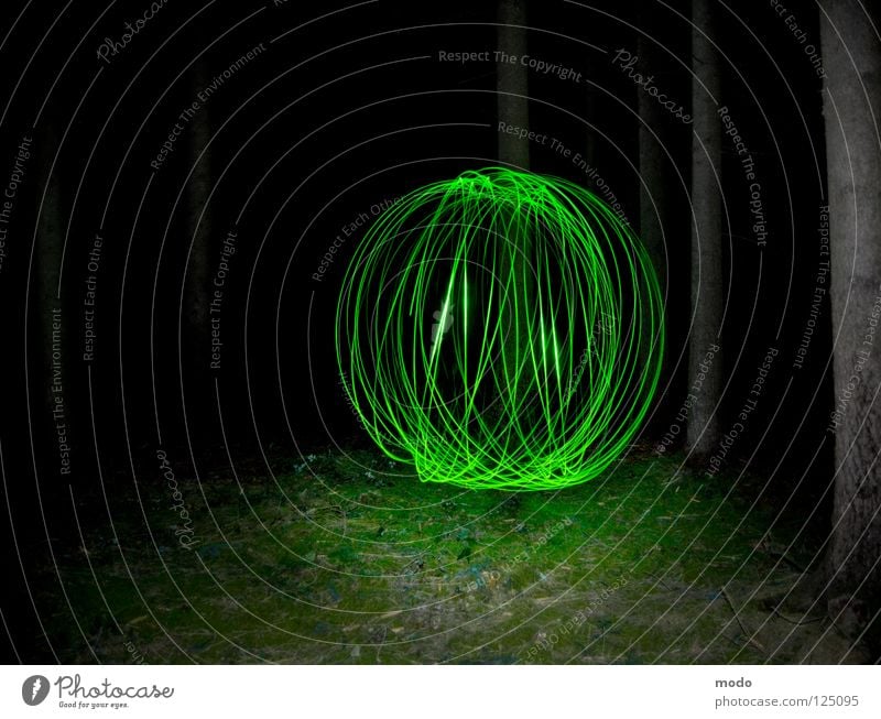 Kraftfeld No.3 Licht Wald Baum dunkel grün Planet Taschenlampe Leuchtdiode Gras Wiese drehen kreisen Langzeitbelichtung Laser Kugel Kreis hell Surrealismus