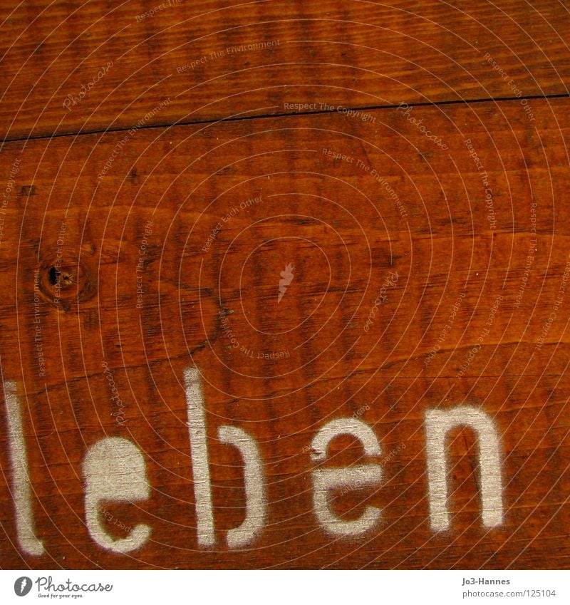 Ich lebe live Leben Wunsch Holz Wand Astloch braun ökologisch Typographie Buchstaben Beginn atmen Schriftzeichen Vergänglichkeit alive living Kasten Maserung