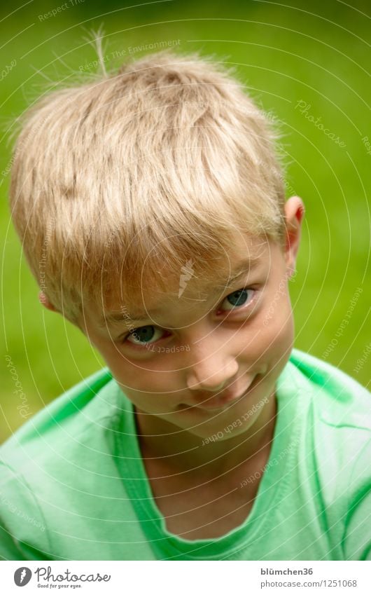 Können diese Augen lügen? Mensch maskulin Kind Junge Kindheit Kopf Haare & Frisuren Gesicht Blick 3-8 Jahre Lächeln Spielen authentisch blond frech Fröhlichkeit