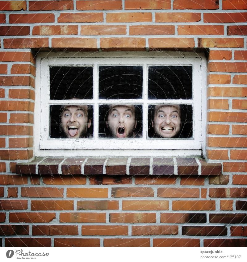 Affentheater Wand Mauer Backstein Fenster Fensterscheibe Psychiatrie verrückt gefangen Seele geschlossen Mann skurril Humor Freak Freude Stein Glas Psychopath